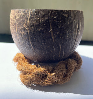 Coconut shell Kava cups